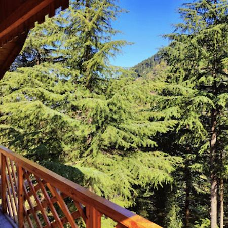 Mid Conifer Cottage Dalhousie Εξωτερικό φωτογραφία