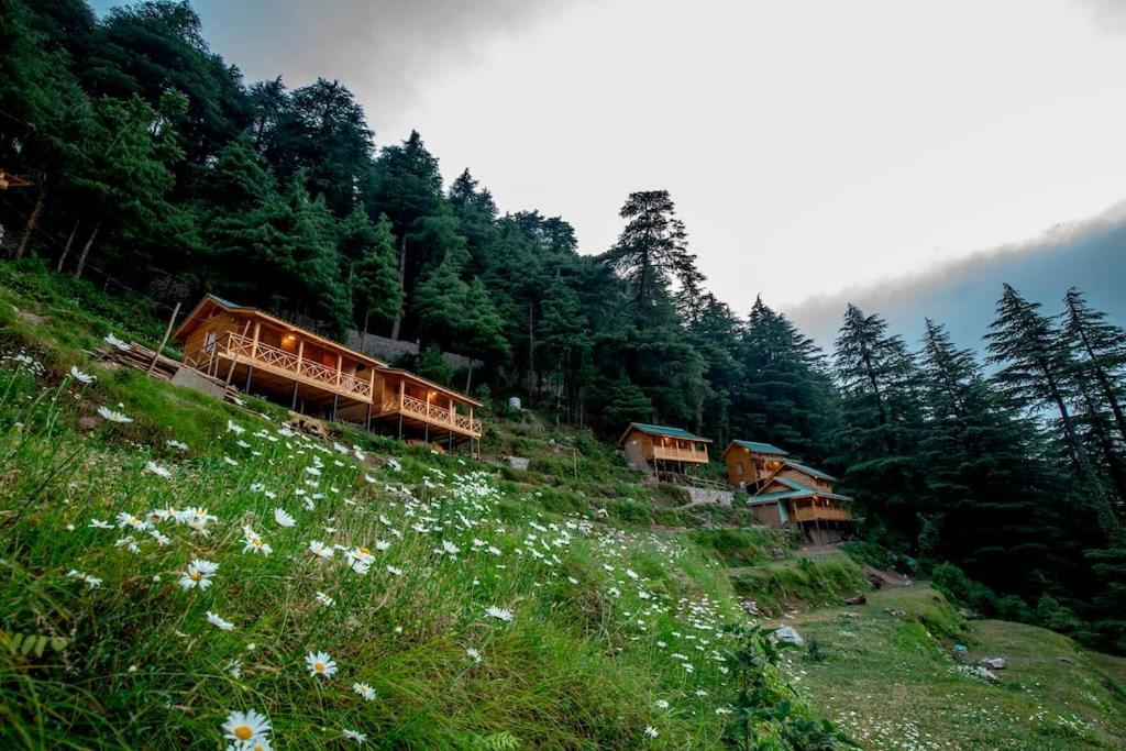 Mid Conifer Cottage Dalhousie Εξωτερικό φωτογραφία